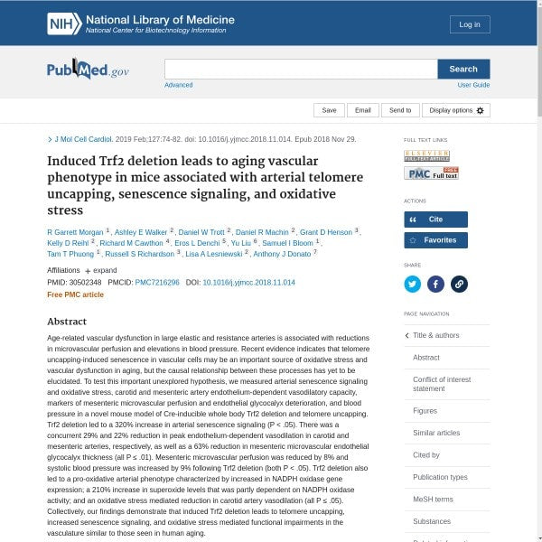 Induced Trf2 deletion leads to aging vascular phenotype in mice associated with arterial telomere uncapping, senescence signaling, and oxidative stress