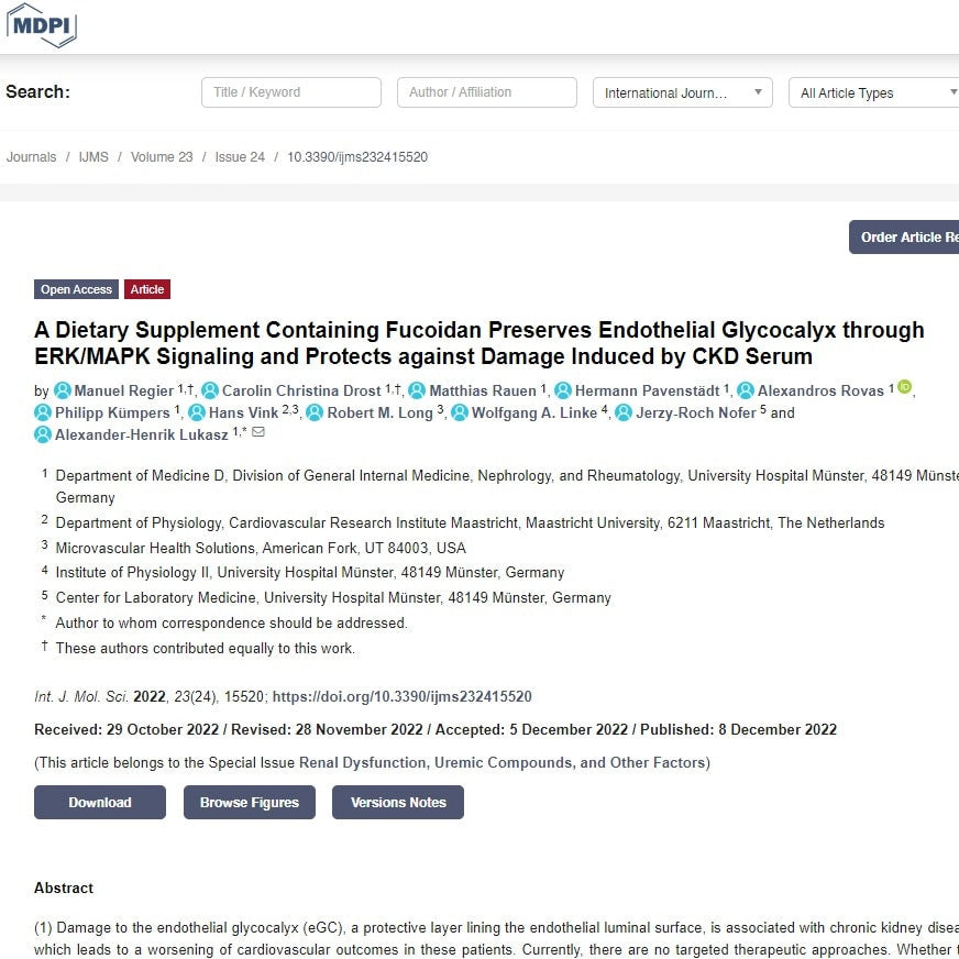 A Dietary Supplement Containing Fucoidan Preserves Endothelial Glycocalyx through ERK/MAPK Signaling and Protects against Damage Induced by CKD Serum