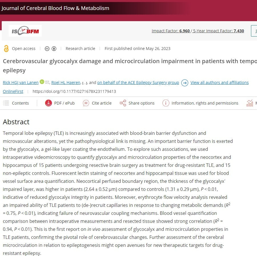 Cerebrovascular glycocalyx damage and microcirculation impairment in patients with temporal lobe epilepsy