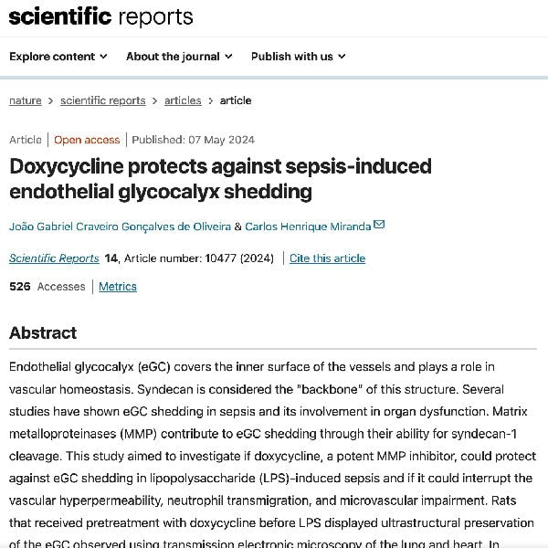 Doxycycline protects against sepsis-induced endothelial glycocalyx shedding