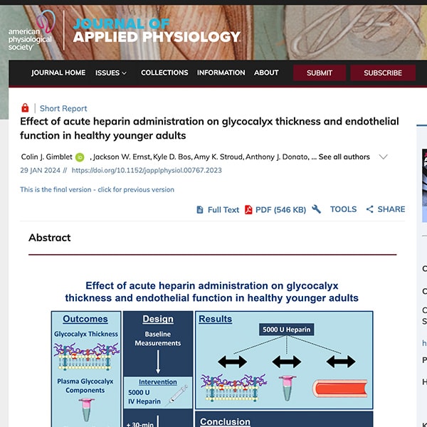 Effect of acute heparin administration on glycocalyx thickness and endothelial function in healthy younger adults
