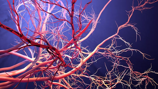 Association of COVID-19 with Impaired Endothelial Glycocalyx, Vascular Function and Myocardial Deformation Four Months After Infection