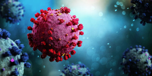 Case Report: Endothelial Glycocalyx Damage in Critically ill Patients With SARS-CoV-2-Related Multisystem Inflammatory Syndrome (MIS-C)