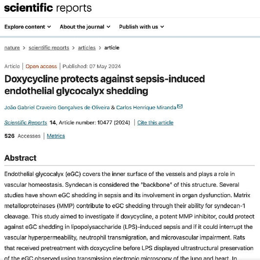 Doxycycline protects against sepsis-induced endothelial glycocalyx shedding