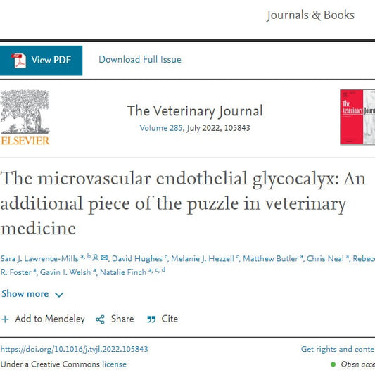 The microvascular endothelial glycocalyx: An additional piece of the puzzle in veterinary medicine