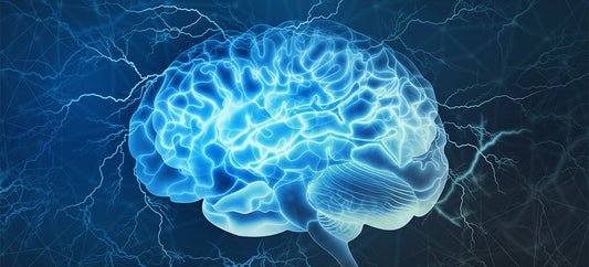 Research into Mutual Causes of Heart Failure and Vascular Dementia