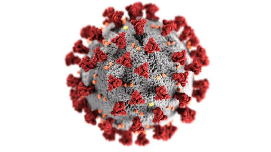 Are Underlying Conditions Linked to COVID-19 Mortality Rates as a Result of Poor Glycocalyx Health?